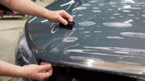 mieng dan ppf co thuc su tot